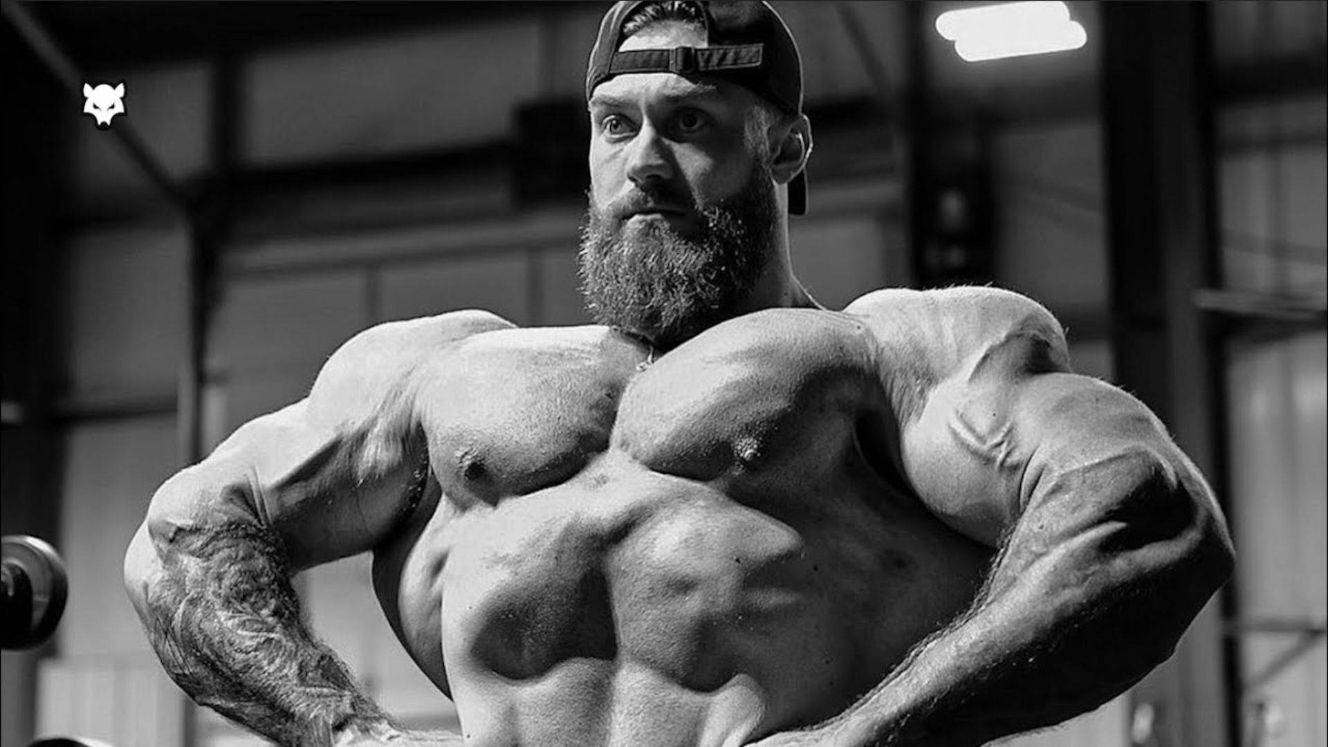 CHRIS BUMSTEAD